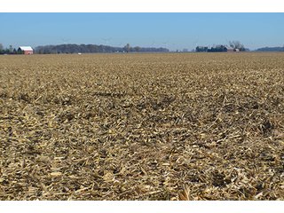 Tracts 4 & 5 - FARMLAND AUCTION - 165.5+/- ACRES OFFERED IN 5 TRACTS OR COMBINATIONS IN EAST ALLEN COUNTY
